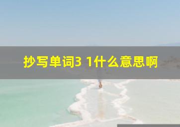 抄写单词3 1什么意思啊